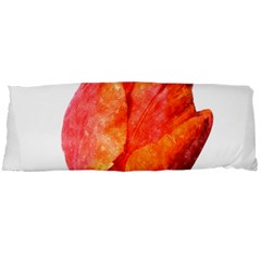 Spring Tulip Red Watercolor Aquarel Body Pillow Case Dakimakura (two Sides) by picsaspassion