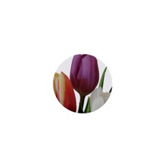 Tulips Spring Bouquet 1  Mini Magnets by picsaspassion