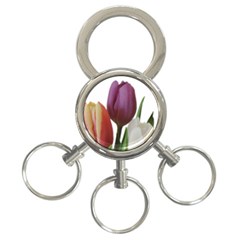 Tulips Spring Bouquet 3-ring Key Chain by picsaspassion