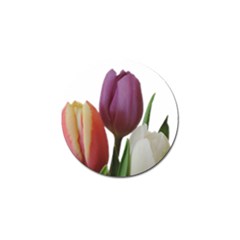 Tulips Spring Bouquet Golf Ball Marker (10 Pack) by picsaspassion