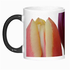 Tulips Spring Bouquet Morph Mugs by picsaspassion