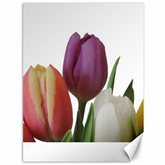 Tulips Spring Bouquet Canvas 36  X 48  by picsaspassion