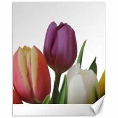 Tulips Spring Bouquet Canvas 11  X 14  by picsaspassion