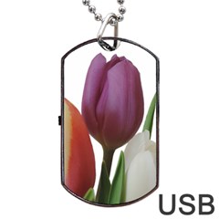 Tulips Spring Bouquet Dog Tag Usb Flash (two Sides) by picsaspassion