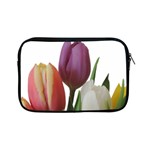 Tulips spring bouquet Apple iPad Mini Zipper Cases Front