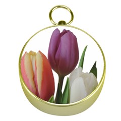 Tulips Spring Bouquet Gold Compasses by picsaspassion