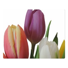 Tulips Spring Bouquet Double Sided Flano Blanket (large)  by picsaspassion