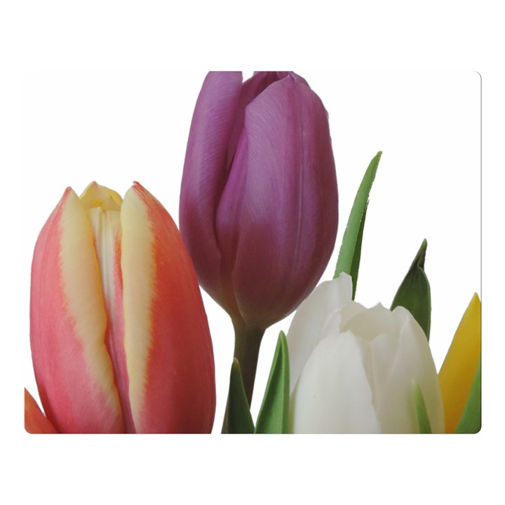 Tulips spring bouquet Double Sided Flano Blanket (Large) 