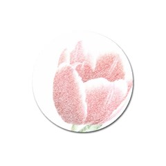 Tulip Red White Pencil Drawing Magnet 3  (round) by picsaspassion