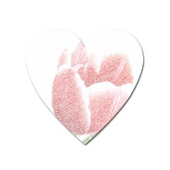 Tulip Red White Pencil Drawing Heart Magnet by picsaspassion