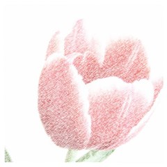 Tulip Red White Pencil Drawing Wooden Puzzle Square by picsaspassion