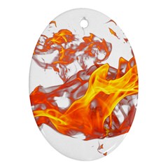 Can Walk on volcano Fire, white background Ornament (Oval)