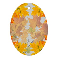 Autumn Maple Leaves, Floral Art Ornament (oval) by picsaspassion