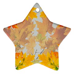 Autumn Maple Leaves, Floral Art Ornament (star) by picsaspassion