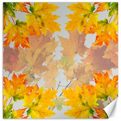 Autumn Maple Leaves, Floral Art Canvas 20  X 20  by picsaspassion