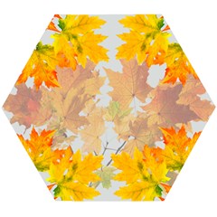 Autumn Maple Leaves, Floral Art Wooden Puzzle Hexagon by picsaspassion