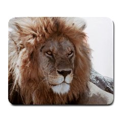 Lion s Focus Large Mousepad