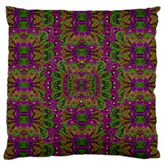 Peacock Lace In The Nature Standard Flano Cushion Case (one Side) by pepitasart