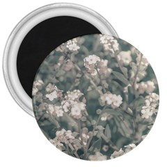 Beauty Floral Scene Photo 3  Magnets