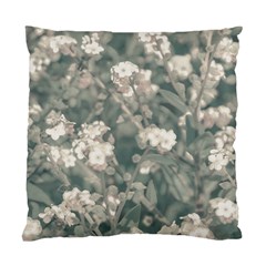 Beauty Floral Scene Photo Standard Cushion Case (one Side) by dflcprintsclothing