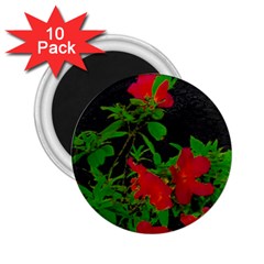 Dark Pop Art Floral Poster 2 25  Magnets (10 Pack)  by dflcprintsclothing