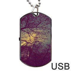 Tour Eiffel Paris Paysage Dog Tag Usb Flash (one Side) by kcreatif