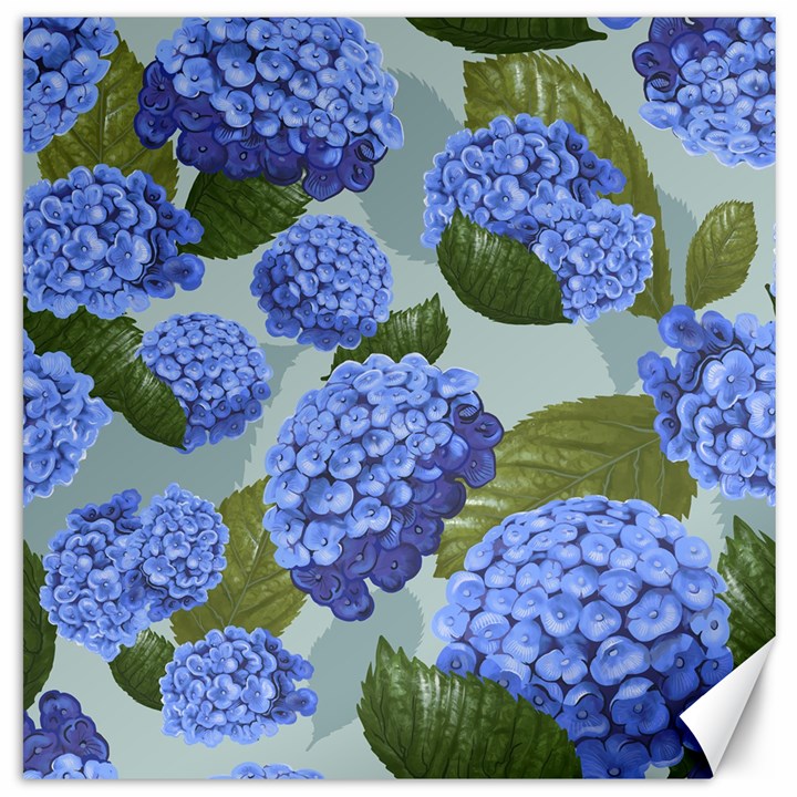 Hydrangea  Canvas 16  x 16 