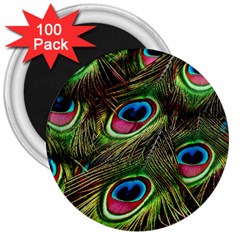 Peacock Feathers Color Plumage 3  Magnets (100 Pack)