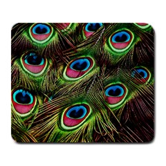 Peacock Feathers Color Plumage Large Mousepads by Celenk