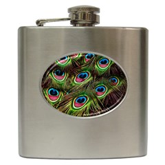 Peacock Feathers Color Plumage Hip Flask (6 Oz) by Celenk