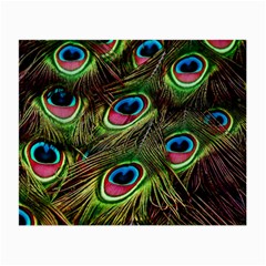 Peacock Feathers Color Plumage Small Glasses Cloth