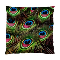 Peacock Feathers Color Plumage Standard Cushion Case (one Side) by Celenk