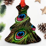 Peacock Feathers Color Plumage Ornament (Christmas Tree)  Front