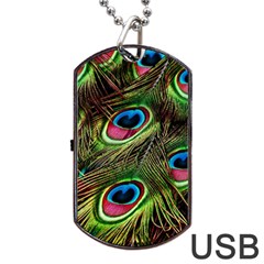 Peacock Feathers Color Plumage Dog Tag Usb Flash (two Sides) by Celenk