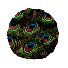 Peacock Feathers Color Plumage Standard 15  Premium Flano Round Cushions by Celenk