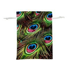 Peacock Feathers Color Plumage Lightweight Drawstring Pouch (l)