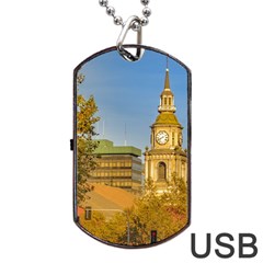 San Francisco De Alameda Church, Santiago De Chile Dog Tag Usb Flash (two Sides) by dflcprintsclothing