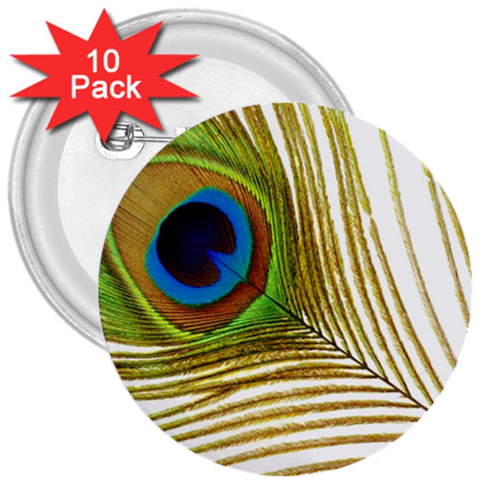 Peacock Feather Plumage Colorful 3  Buttons (10 pack) 