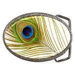 Peacock Feather Plumage Colorful Belt Buckles Front