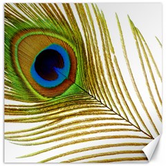 Peacock Feather Plumage Colorful Canvas 16  X 16  by Sapixe