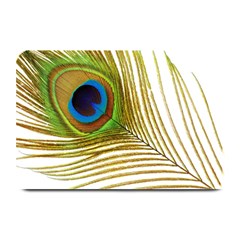 Peacock Feather Plumage Colorful Plate Mats by Sapixe