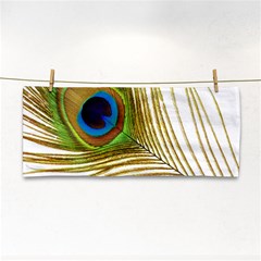 Peacock Feather Plumage Colorful Hand Towel by Sapixe