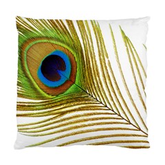 Peacock Feather Plumage Colorful Standard Cushion Case (two Sides) by Sapixe