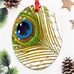 Peacock Feather Plumage Colorful Oval Filigree Ornament (two Sides) by Sapixe