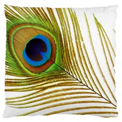 Peacock Feather Plumage Colorful Standard Flano Cushion Case (two Sides) by Sapixe