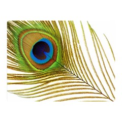 Peacock Feather Plumage Colorful Double Sided Flano Blanket (mini)  by Sapixe