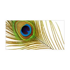 Peacock Feather Plumage Colorful Yoga Headband by Sapixe