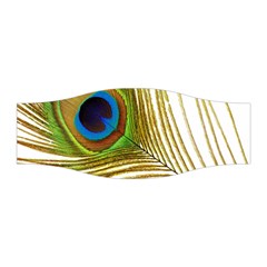 Peacock Feather Plumage Colorful Stretchable Headband by Sapixe