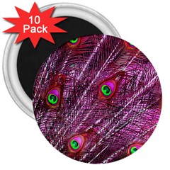 Peacock Feathers Color Plumage 3  Magnets (10 Pack)  by Sapixe