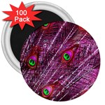 Peacock Feathers Color Plumage 3  Magnets (100 pack) Front